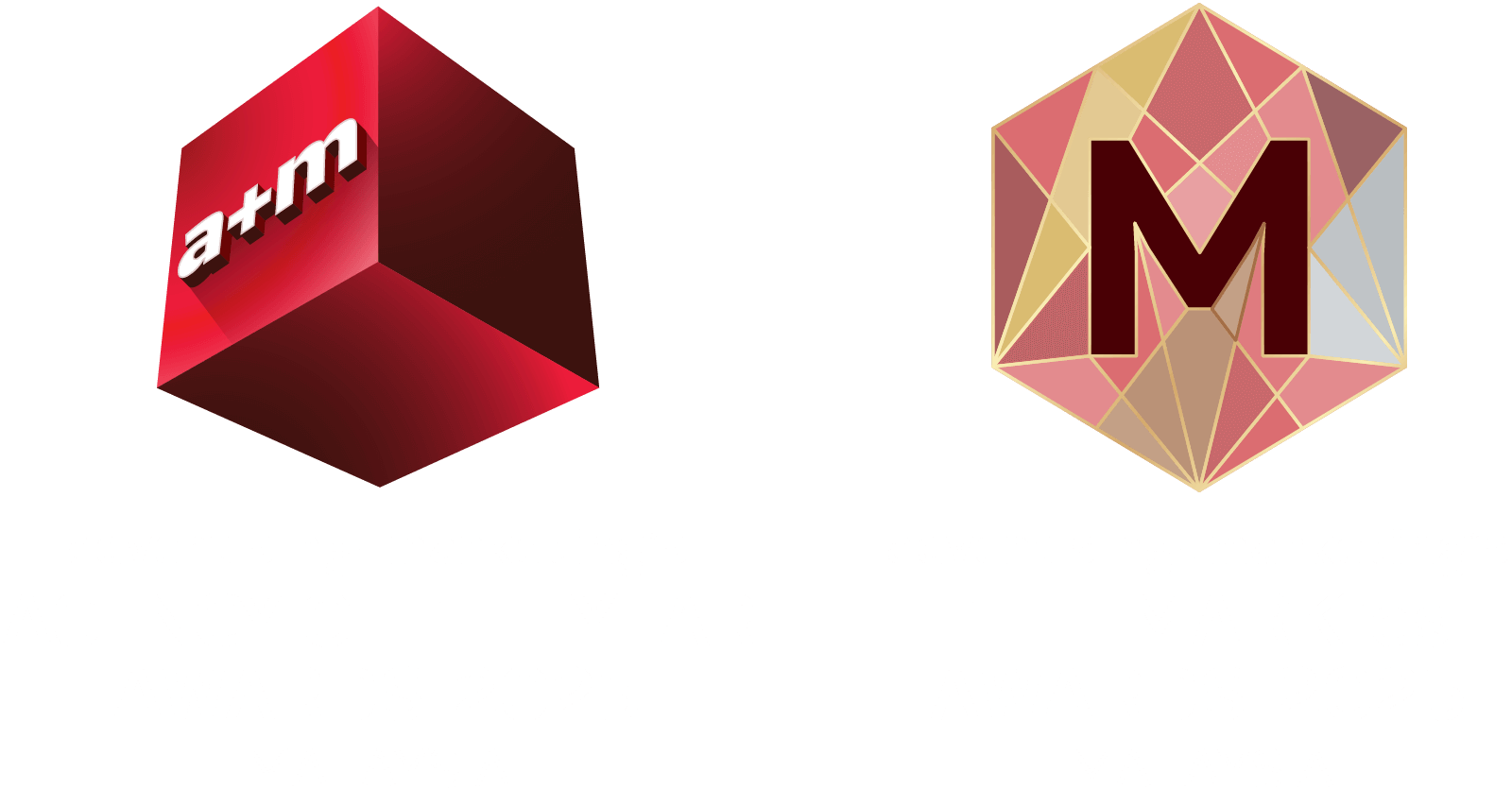 Agency of the Year Singapore 2022