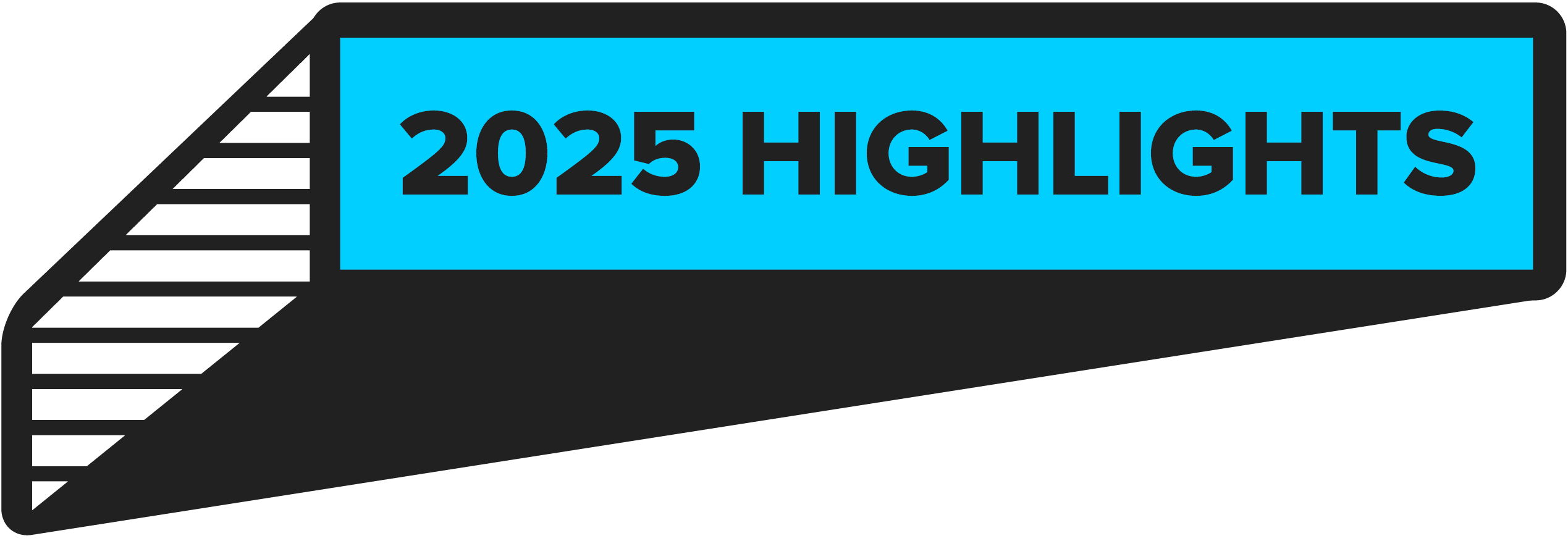 2025 Highlights V2